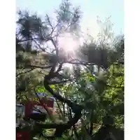 彌彦神社 (伊夜日子神社)の自然