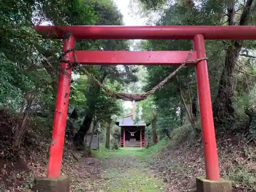 臺神社の鳥居