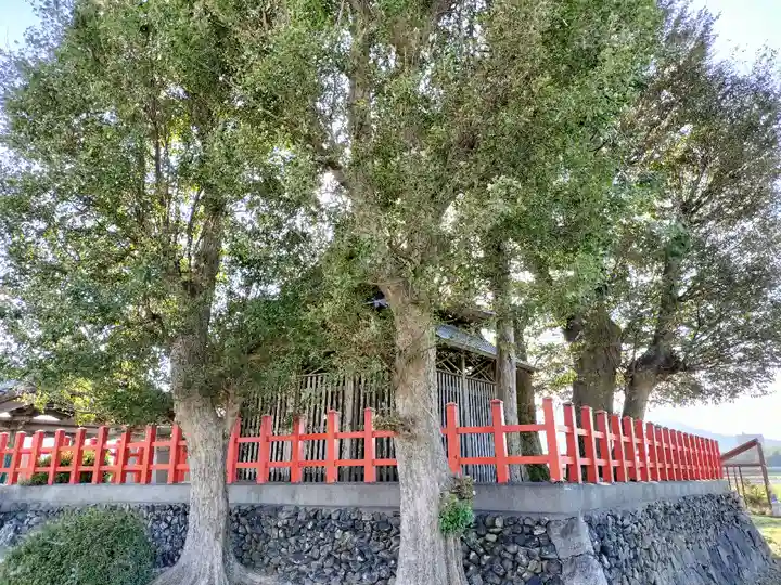 小川月神社(京都府)