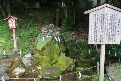 出雲大神宮の庭園