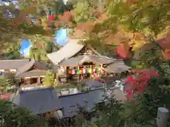 岡寺（龍蓋寺）の本殿