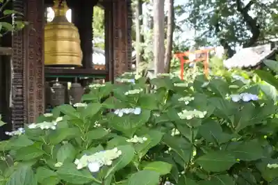 正楽寺(滋賀県)