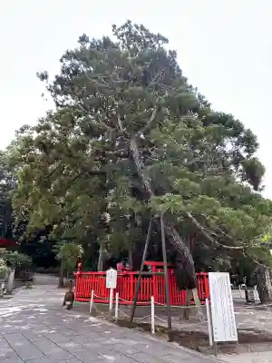 香椎宮(福岡県)