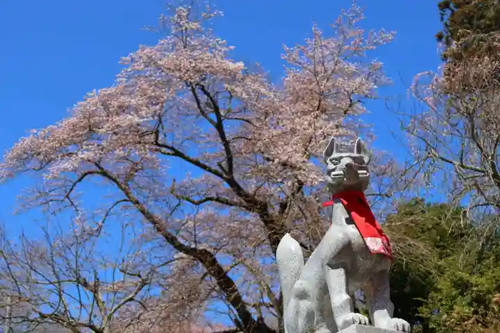 高屋敷稲荷神社の狛犬
