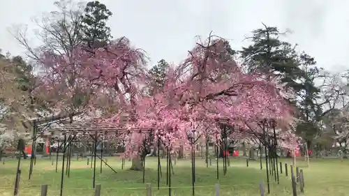 賀茂別雷神社（上賀茂神社）の庭園