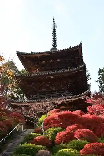 常樂寺(滋賀県)