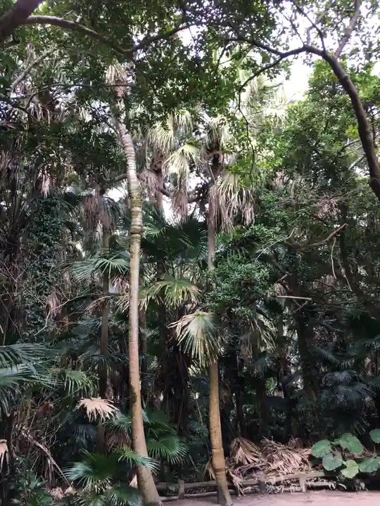 青島神社(青島神宮)の自然