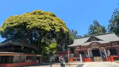 大前神社の{uncategorized: "未分類", other: "その他", undefined: "問題あり", building: "その他建物", grave: "お墓", sacred_gate: "鳥居", guardian: "狛犬", statue: "像", buddha: "仏像", history: "歴史", nature: "自然", garden: "庭園", animal: "動物", pagoda: "塔", temizu: "手水舎", mountain_gate: "山門・神門", sanctuary: "本殿・本堂", subordinate: "末社・摂社", art: "芸術", scenery: "景色", jizo: "地蔵", ema: "絵馬", goshuin: "御朱印", omikuji: "おみくじ", items: "授与品その他", amulet: "お守り", goshuincho: "御朱印帳", eats: "食事", festival: "お祭り", votive_dance: "神楽", shichigosan: "七五三参", wedding: "結婚式", experience: "体験その他", initially: "初詣", around: "周辺", anti_infection: "感染症対策"}