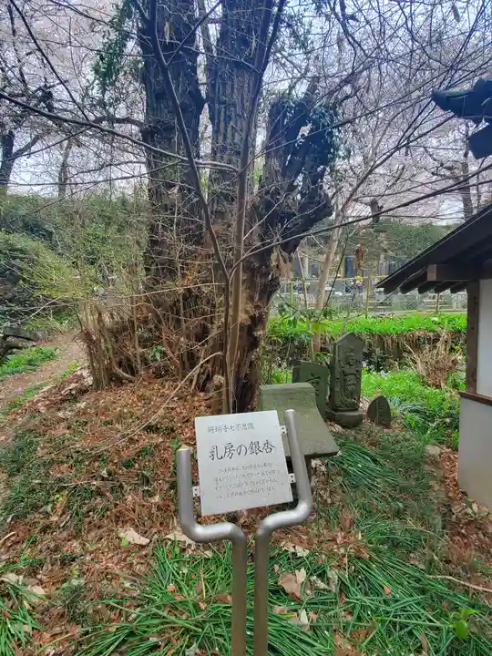 珊瑚寺(群馬県)