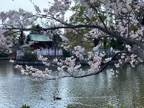 旗上弁財天社の自然