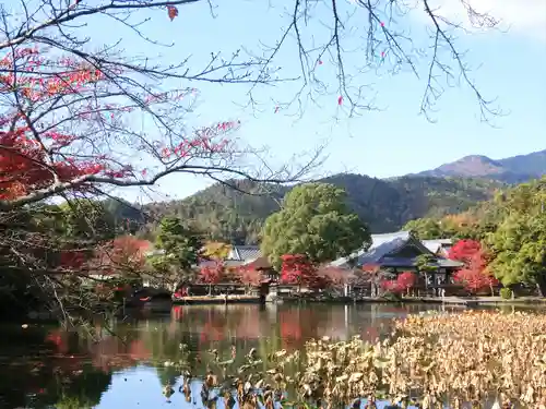大覚寺(京都府)