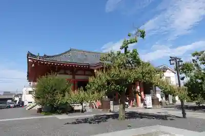 津観音の本殿・本堂