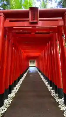 多賀大社(滋賀県)