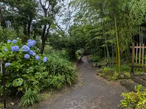 英勝寺(神奈川県)