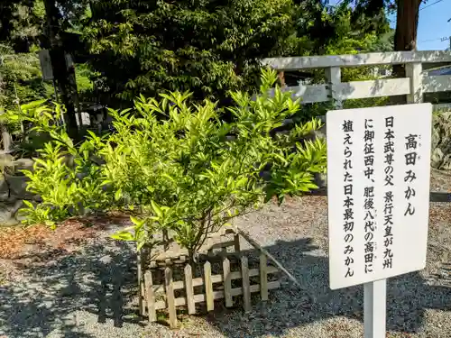 鎌倉宮(神奈川県)