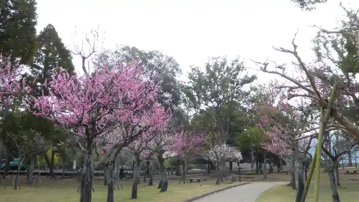 春日大社の庭園