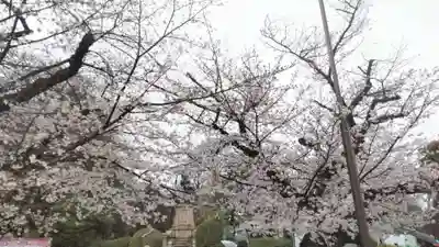 相国寺（相国承天禅寺）(京都府)