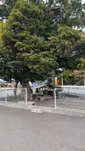 弁天様(福岡県)