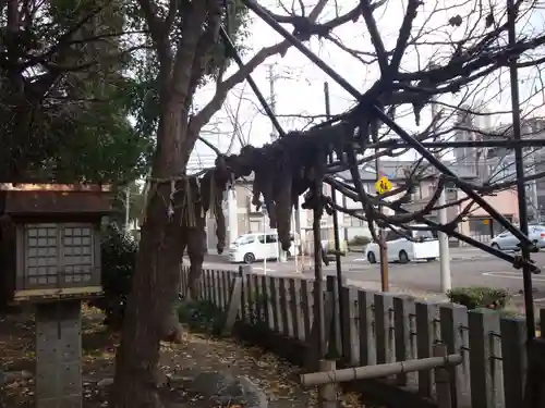 多奈波太神社の自然