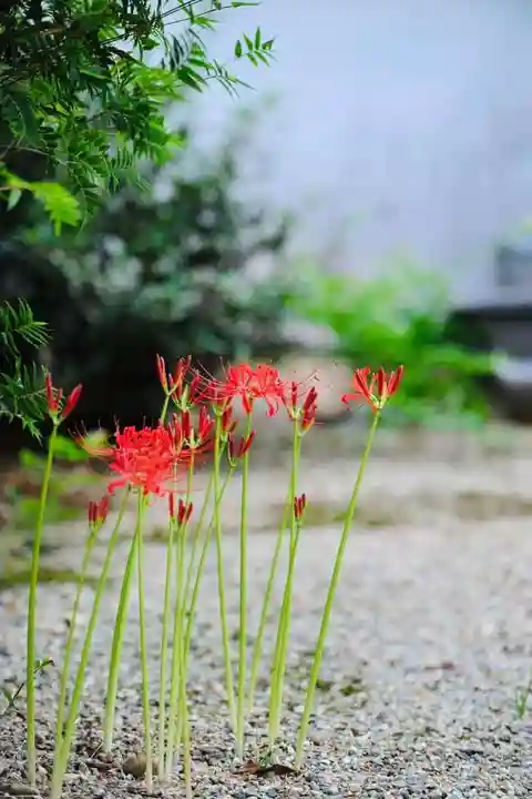 浄土寺(兵庫県)