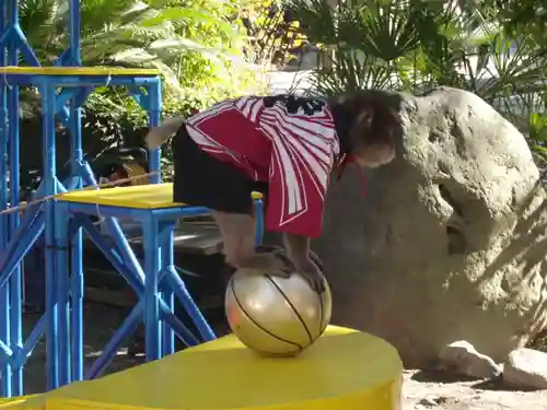 平塚八幡宮(神奈川県)