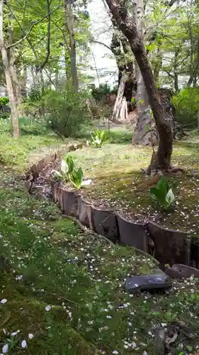 朝日神社（御薬園）の庭園