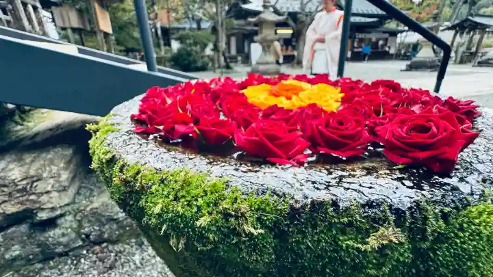 丹生都比売神社(和歌山県)