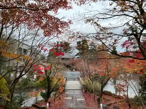 禅林寺（永観堂）(京都府)