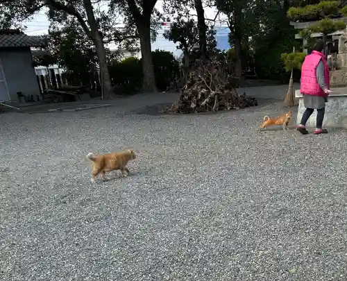 大年神社(兵庫県)