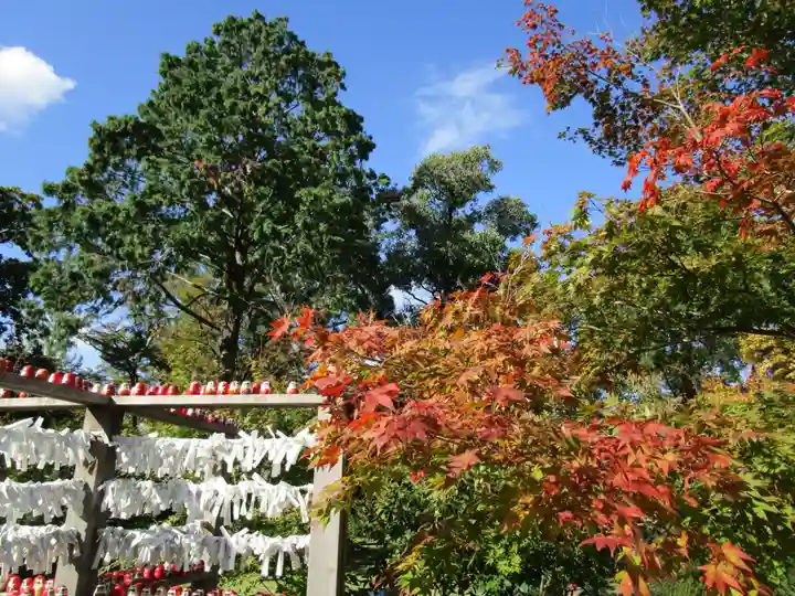大安寺(奈良県)