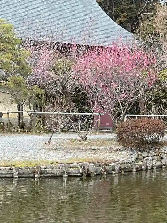 梅宮大社の自然