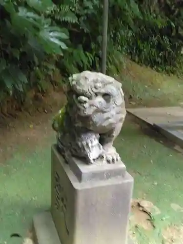 富岡八幡宮の狛犬