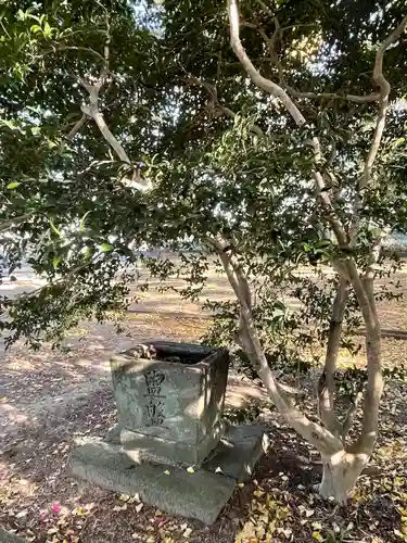 大宮皇神の手水舎