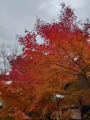 賀茂御祖神社（下鴨神社）(京都府)