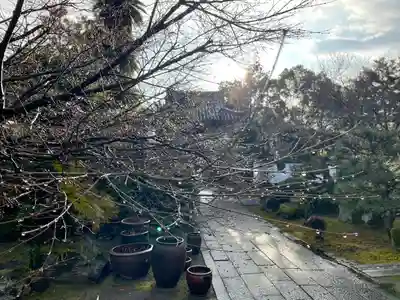 伊勢の国 四天王寺(三重県)