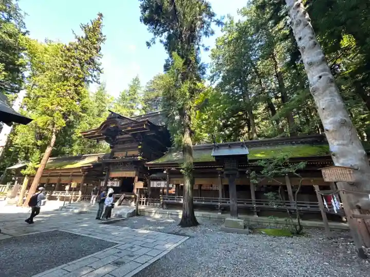 諏訪大社下社春宮の本殿・本堂