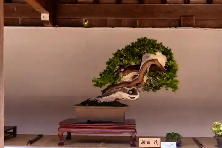 彌彦神社の自然