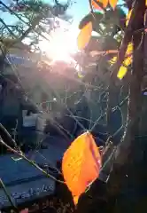 鳩森八幡神社(東京都)