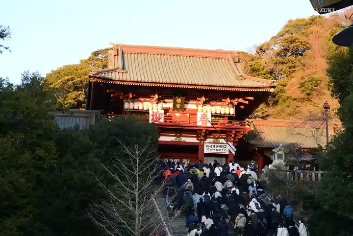 鶴岡八幡宮(神奈川県)