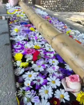 群馬県護国神社(群馬県)