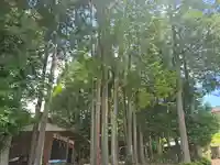 天神社(滋賀県)