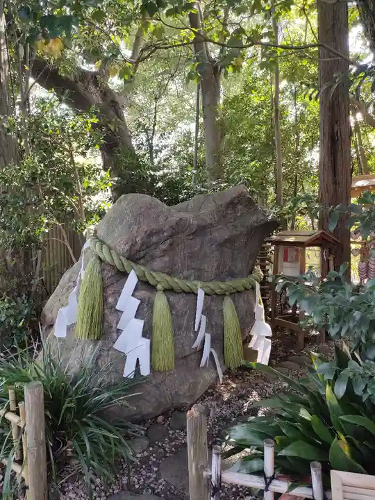 大宮八幡宮の自然