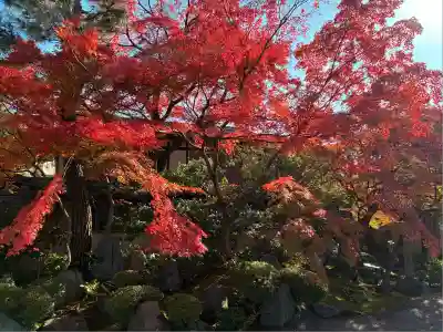 法観寺(京都府)