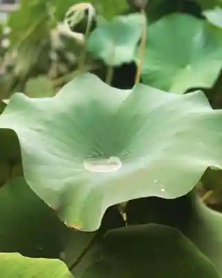 上行寺(静岡県)