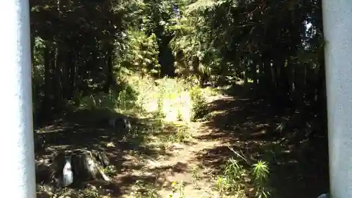 諏訪神社の周辺