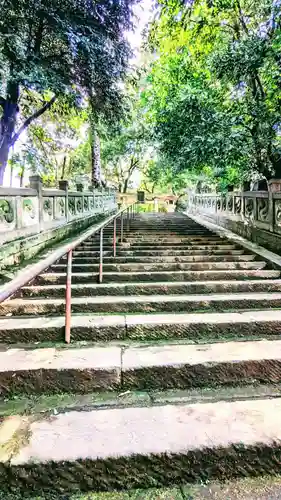 赤坂氷川神社の自然