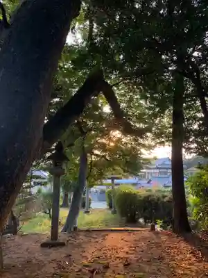 天満大神(千葉県)