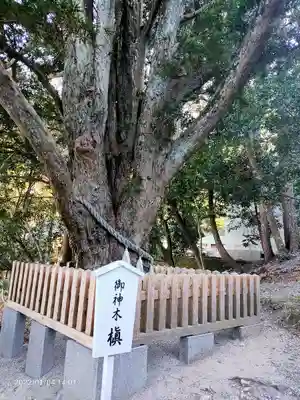 安房神社(千葉県)