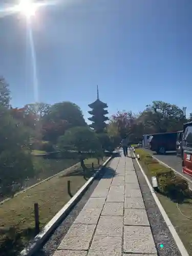 東寺（教王護国寺）(京都府)