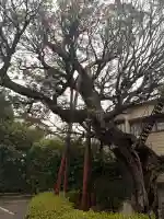 延命院の{uncategorized: "未分類", other: "その他", undefined: "問題あり", building: "その他建物", grave: "お墓", sacred_gate: "鳥居", guardian: "狛犬", statue: "像", buddha: "仏像", history: "歴史", nature: "自然", garden: "庭園", animal: "動物", pagoda: "塔", temizu: "手水舎", mountain_gate: "山門・神門", sanctuary: "本殿・本堂", subordinate: "末社・摂社", art: "芸術", scenery: "景色", jizo: "地蔵", ema: "絵馬", goshuin: "御朱印", omikuji: "おみくじ", items: "授与品その他", amulet: "お守り", goshuincho: "御朱印帳", eats: "食事", festival: "お祭り", votive_dance: "神楽", shichigosan: "七五三参", wedding: "結婚式", experience: "体験その他", initially: "初詣", around: "周辺", anti_infection: "感染症対策"}